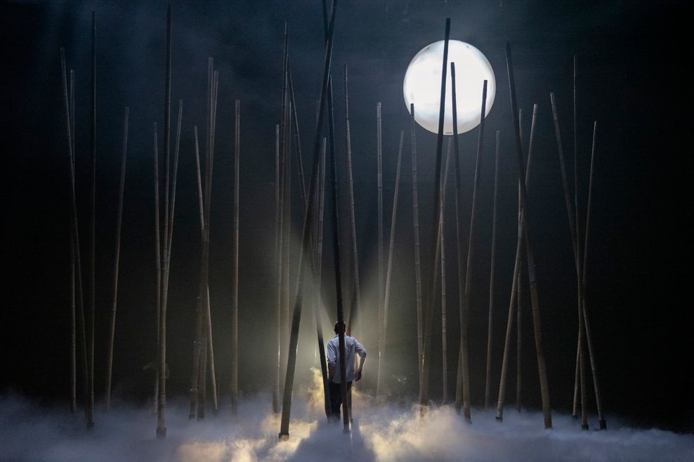 Dunkle Bühne, viele Baumstämme, ein Mann im Gegenlicht von hinten dazwischen, darüber scheint der Mond