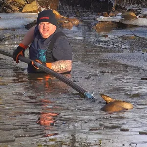 Ein Feuerwehrmann war ins Wasser gesprungen, um das Tier zu retten – letztlich vergeblich.