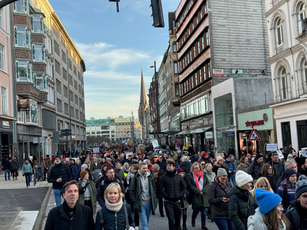 Demo gegen AfD und Rechtsextremismus Hamburg