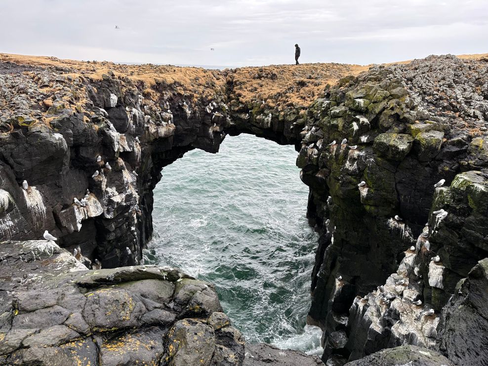 Bloß nicht ausrutschen: Die Steinbrücke bei Arnarstapi ist ein beliebtes Fotomotiv in Island.