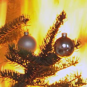 Bei Hamburg: Tannenbaum brennt – zwei Bewohner verletzt in Klinik