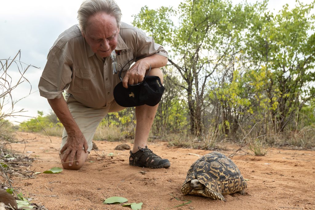 Wilfried Pabst mit einer Panzerschildkröte