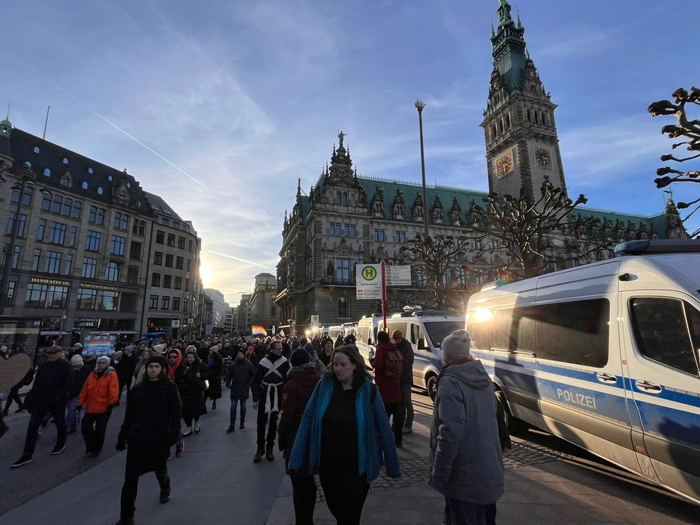 Demo Hamburg Rathaus