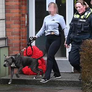 Erst nach gut 45 Minuten beruhigte sich die Situation.