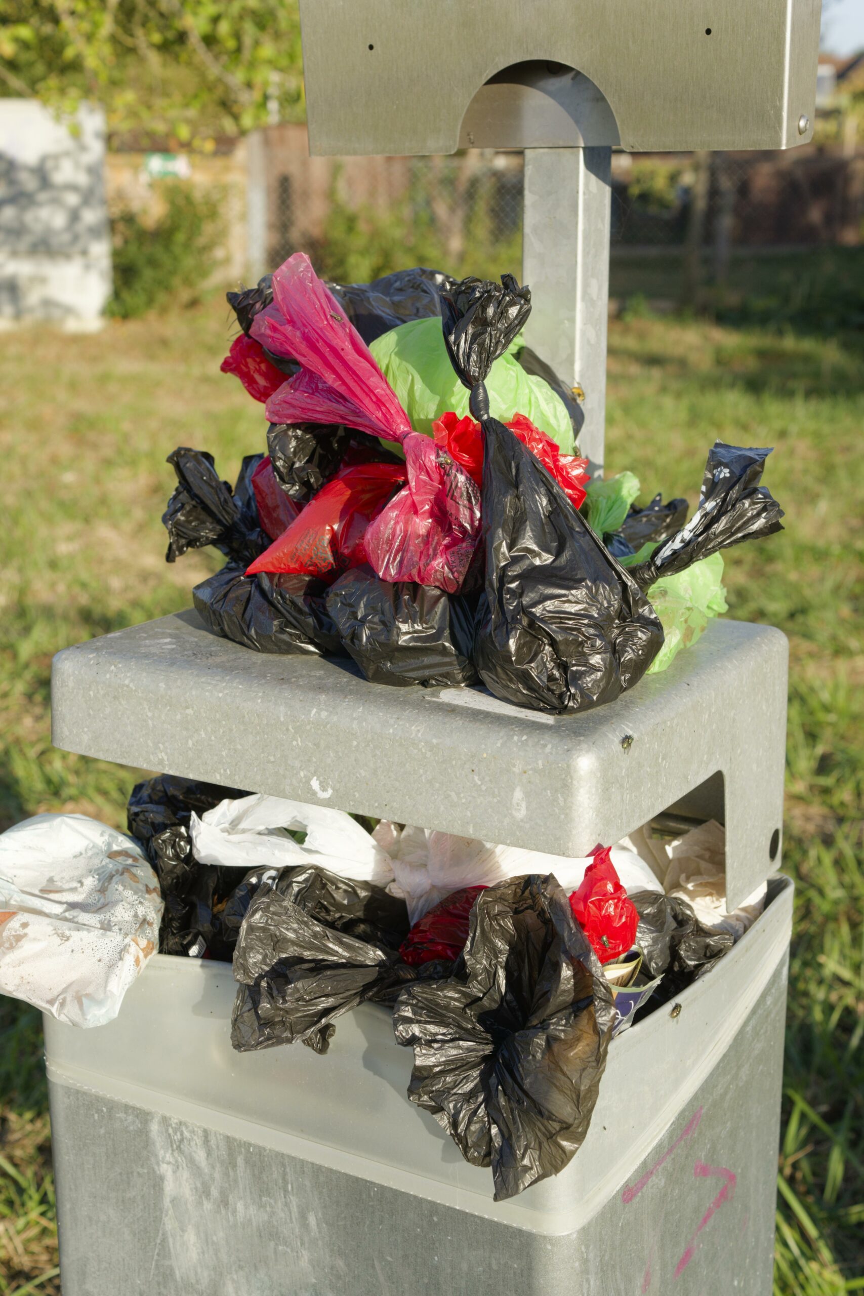 Eine Mülltonne mit mehreren Kotbeuteln.