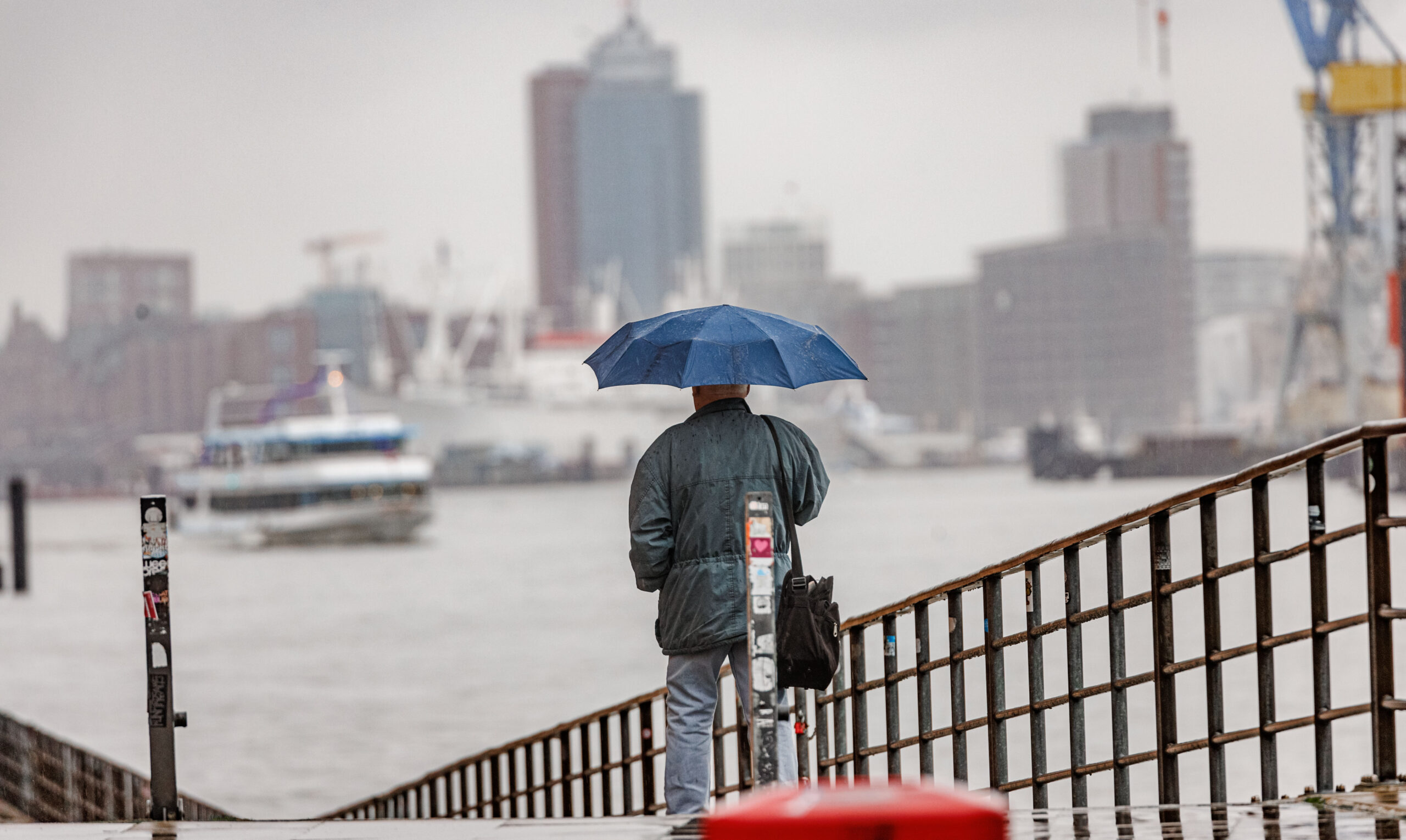 „Ein mild-nasser Winter in Hamburg 2023/24 mit gelegentlichen Frühlingsmomenten und Stürmen“, so die Analyse des Deutschen Wetterdienstes (DWD). (Symbolbild)