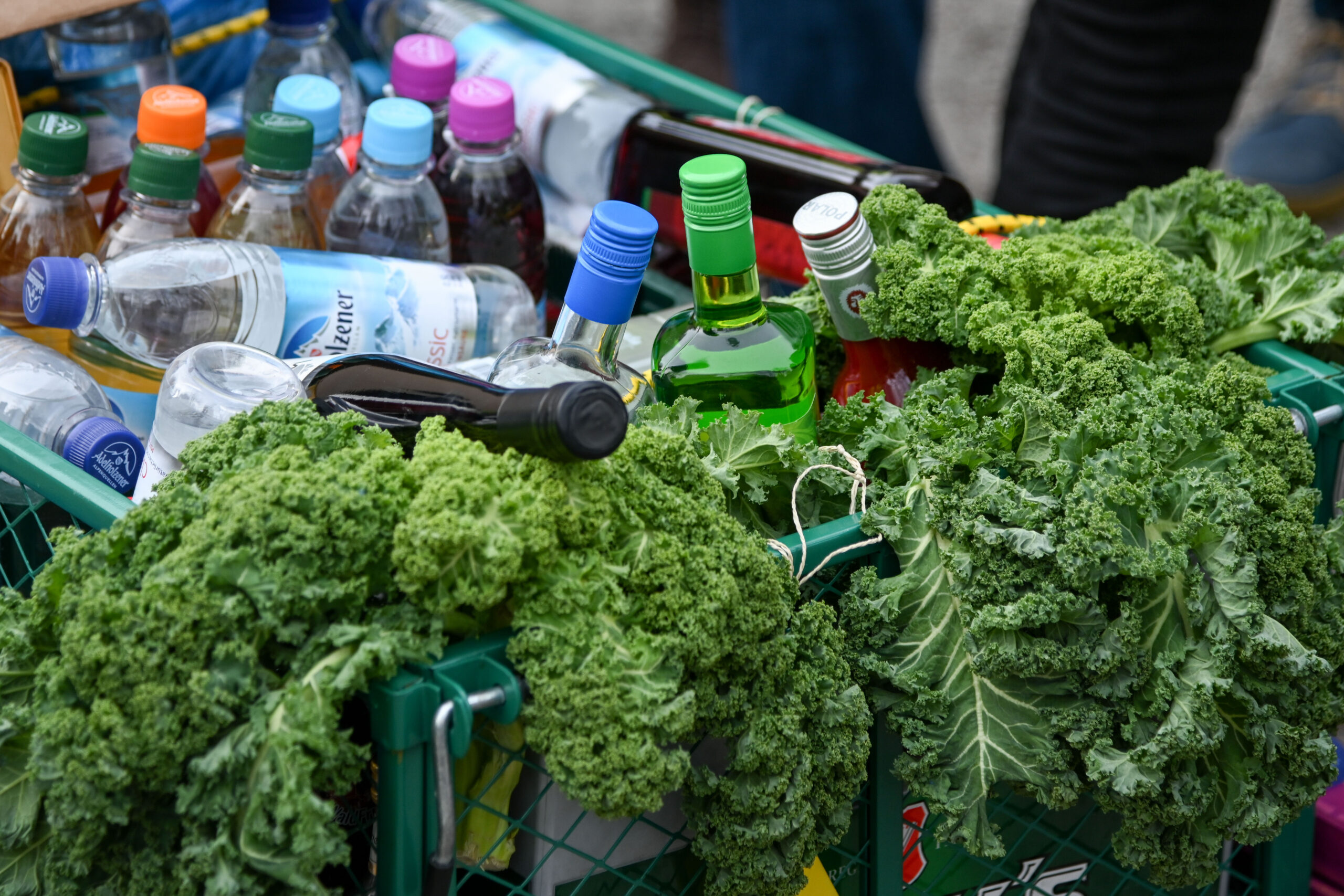 Ein Bollerwagen ist bei einer Kohlfahrt mit Grünkohlblättern und Getränken gefüllt.