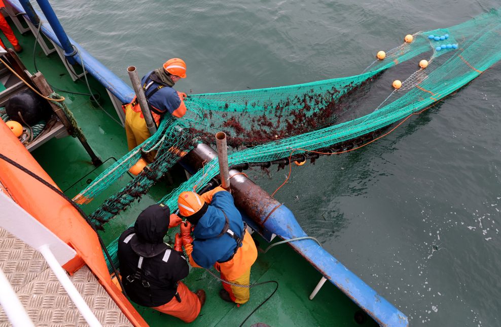Besatzungsmitglieder der „Solea“ und Fischer holen ein Schleppnetz ein.