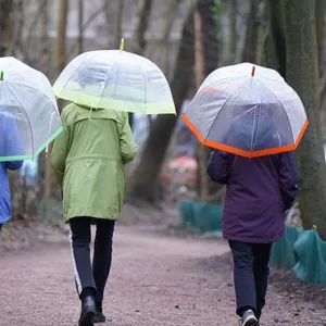 Der Frühling gibt sein Bestes – doch so richtig erfolgreich ist er damit noch nicht.