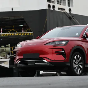 Ein Elektroauto steht vor dem Frachter, der es nach Europa gebracht hat.