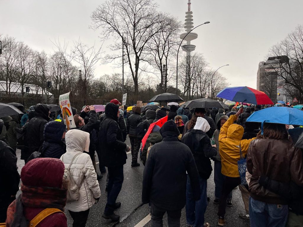 Die Teilnehmer der Demo trotzen dem Regen.
