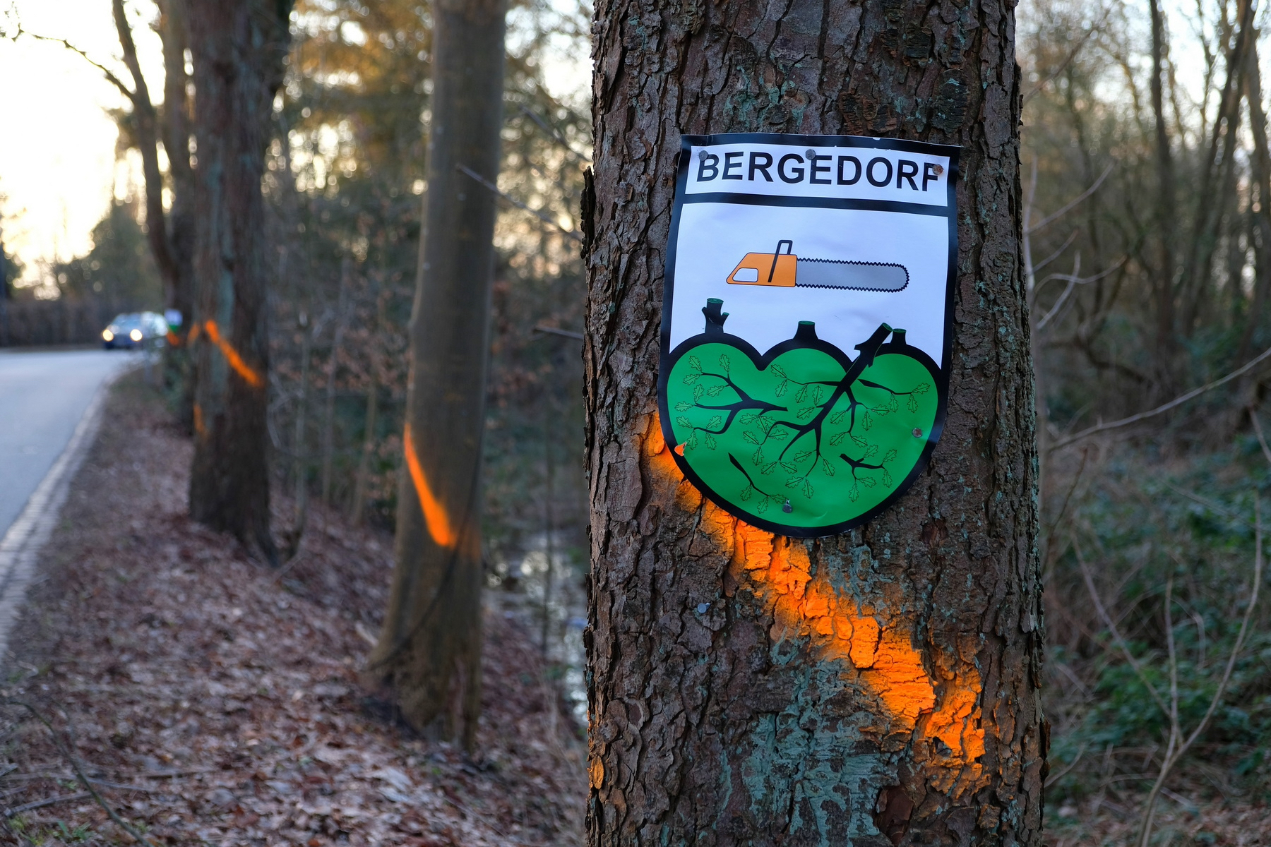 Mehrere Bäume. Auf ihnen ein heraldisches Wappen. Das Wappen zeigt eine Kettensäge und die Aufschrift "Bergedorf"