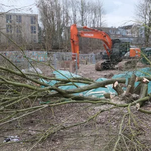 An der Sternbrücke haben heute die ersten Baumfällarbeiten begonnen.
