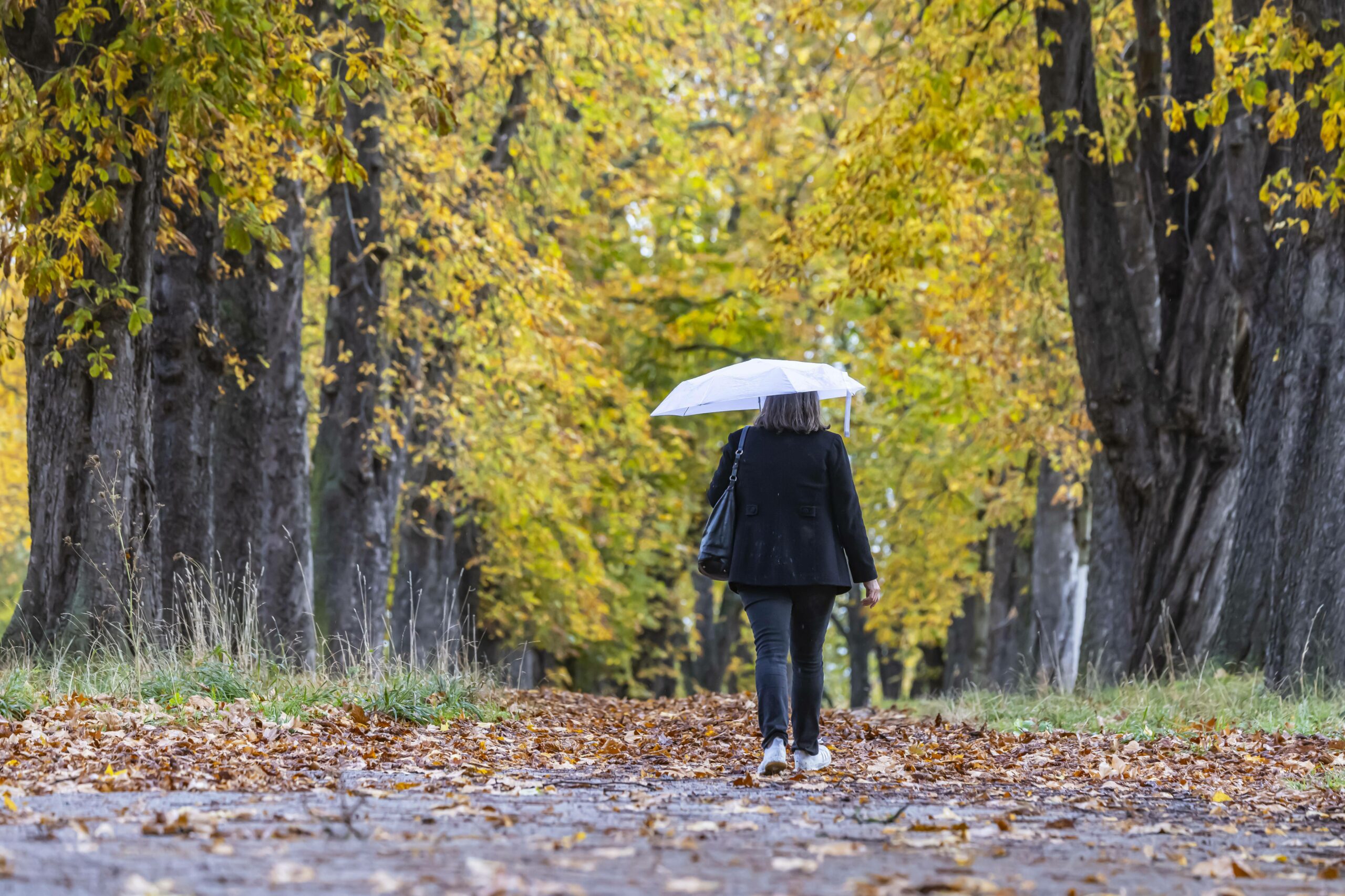 Frauen in Park in Wilhelmsburg sexuell belästigt. Sechs taten in drei Wochen