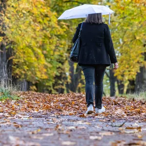 Frauen in Park in Wilhelmsburg sexuell belästigt. Sechs taten in drei Wochen