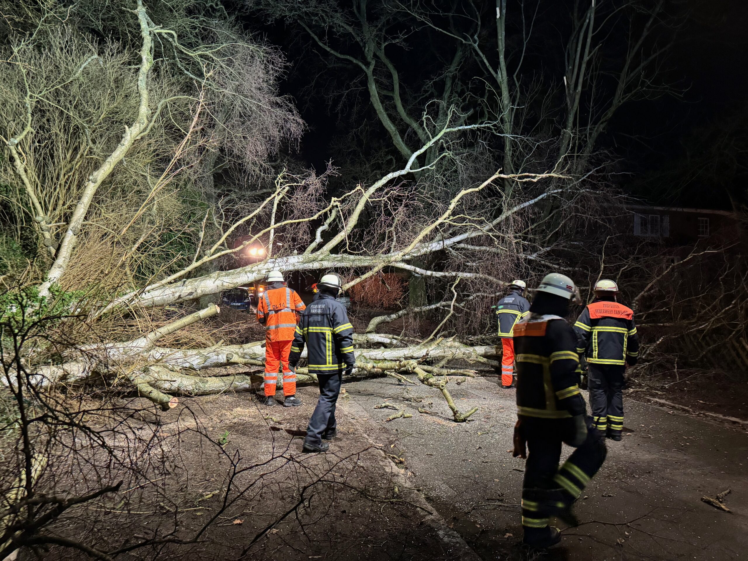 Feuerwehrleute zersägen einen umgestürzten Baum auf der Doysenstraße in Othmarschen.