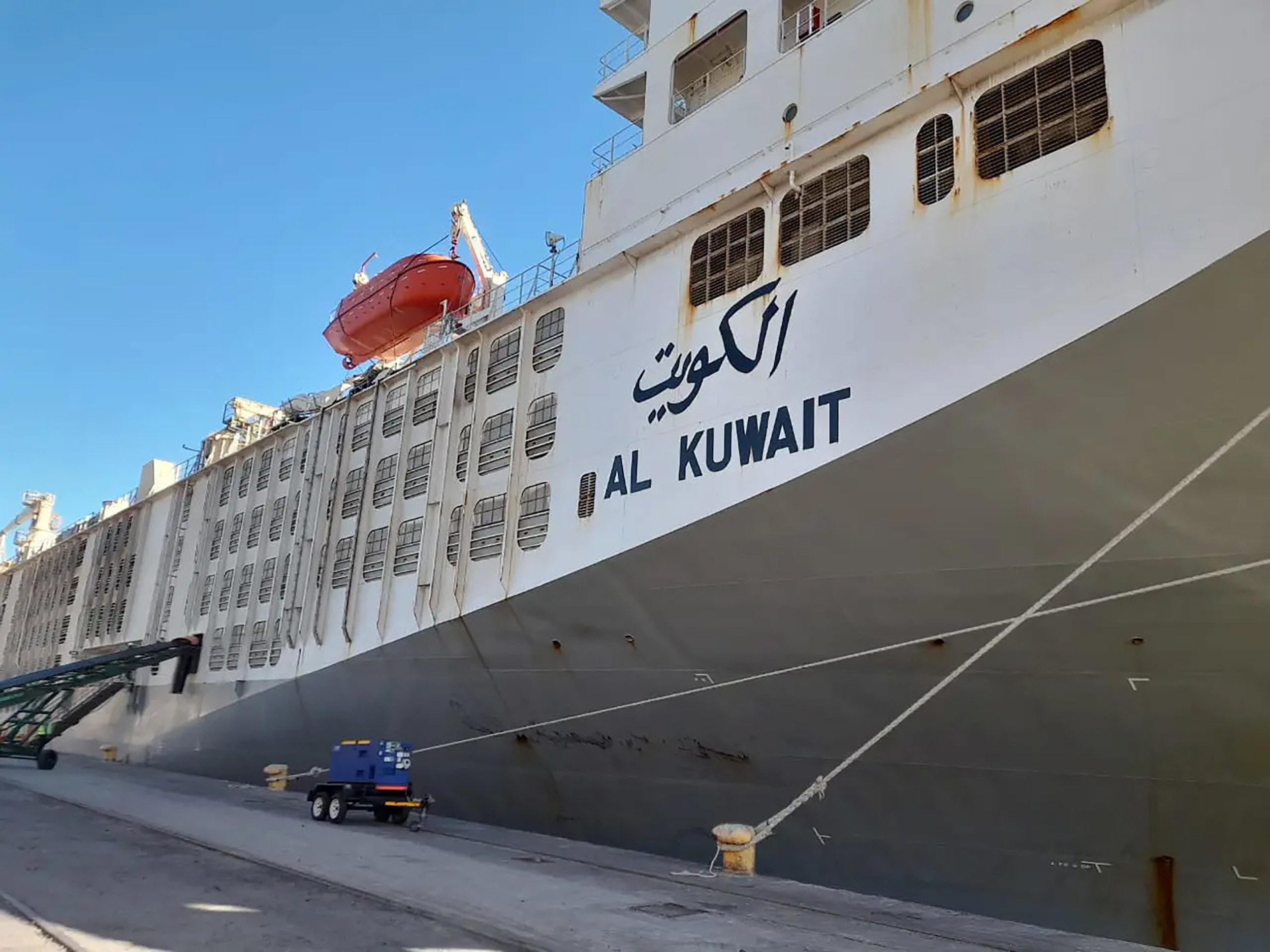 Das mit 19.000 Rindern beladene Transportschiff „Al Kuwait“ im Hafen von Kapstadt.