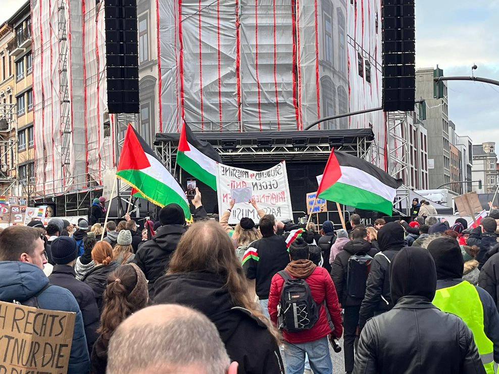 Einige Demonstrierende schwenken Palästina-Flaggen.