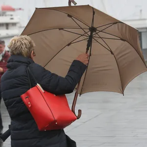 Hamburger Wetter vom Feinsten: Starker Wind und Regen am Hafen.