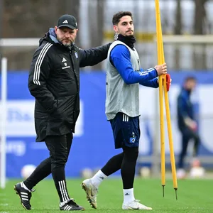 Steffen Baumgart HSV Ludovit Reis