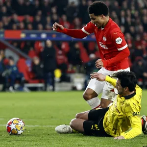 Hummels foult Tillman
