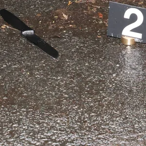 Die Polizei konnte die mutmaßliche Tatwaffe noch vor Ort sicherstellen.