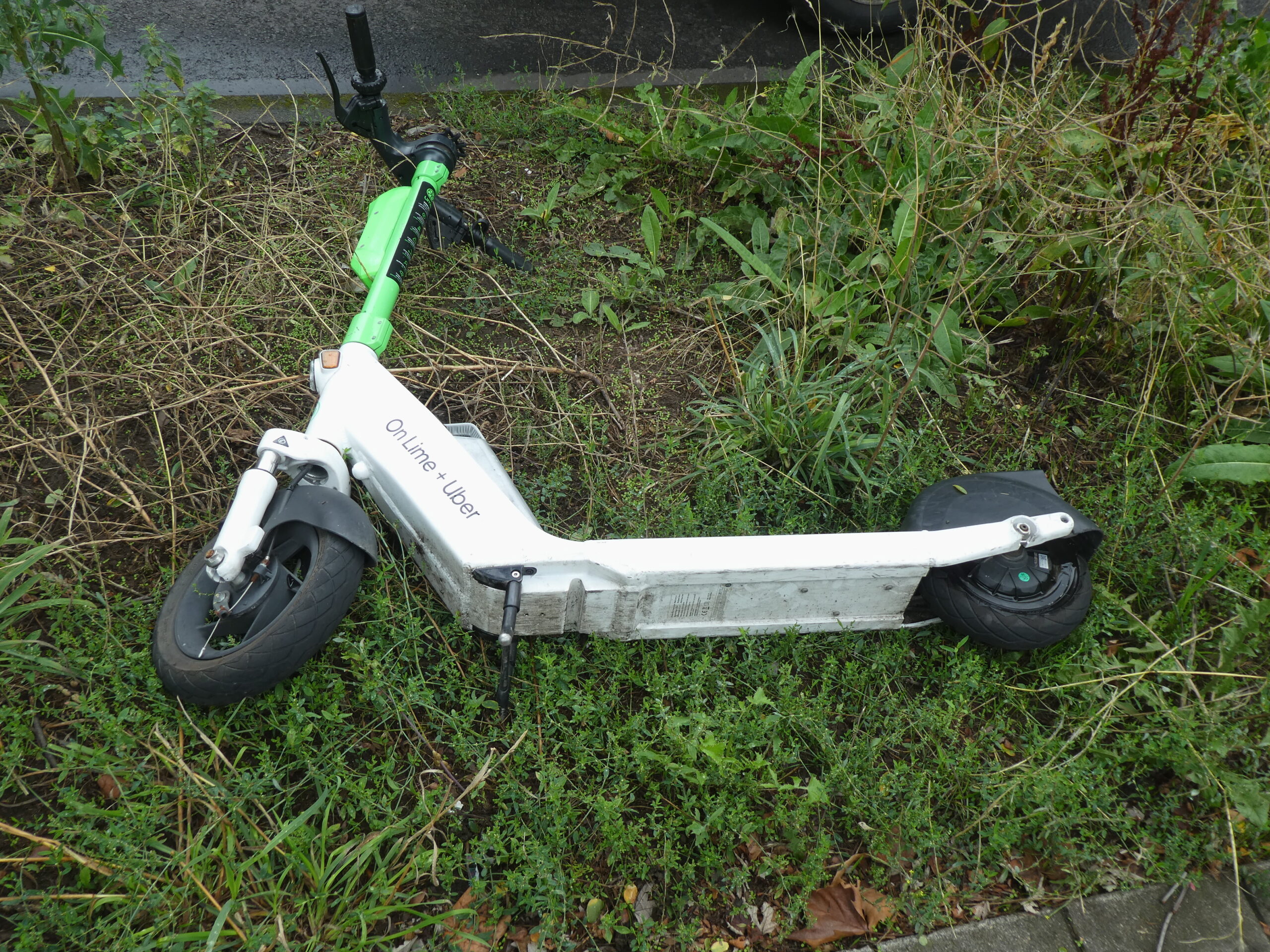 Ein E-Scooter liegt am Straßenrand (Symbolbild).
