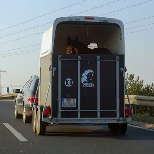 Ein Pferdetransporter auf einer Straße