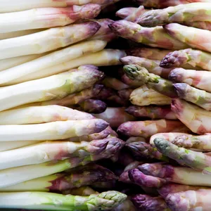 Geschälter, weißer Spargel