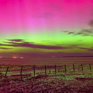 Gigantisches Farbenspiel: Polarlichter am Himmel über Schillig in Friesland (Archivbild).