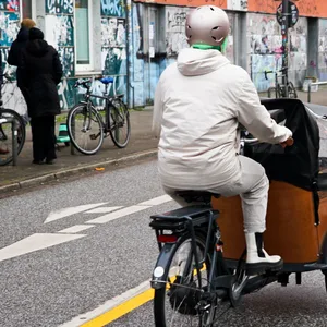 Person auf Lastenfahrrad von hinten