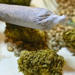 Am 22. März stimmt der Bundesrat über das Cannabisgesetz ab. Die Frage ist: Wie verhält sich Hamburg?