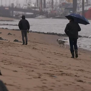 Passanten gehen im strömenden Regen am Elbstrand in Övelgönne spazieren.