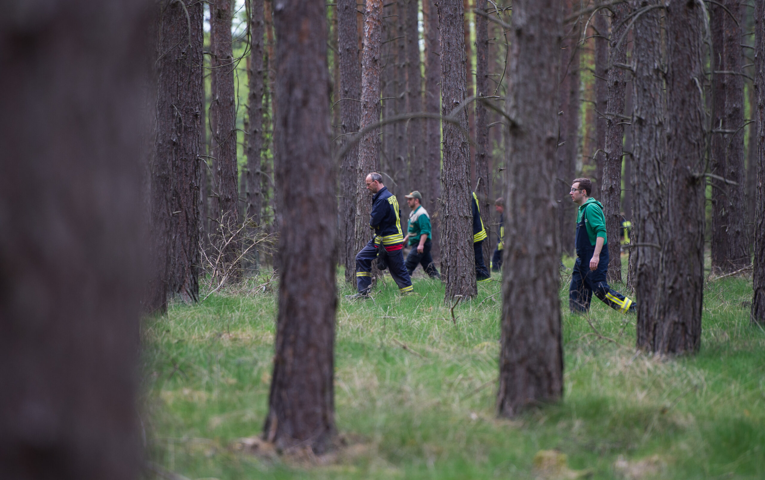 Einsatzkräfte durchsuchen im Hintergrund des Bildes ein Waldstück