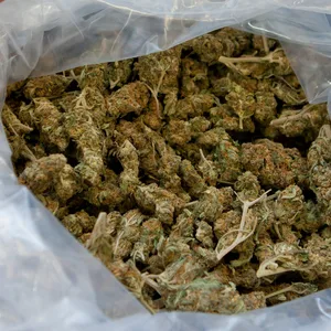 Insgesamt 15 Kilo Marihuana und rund 1000 Tabletten fand die Polizei bei den mutmaßlichen Dealern (Symbolbild).