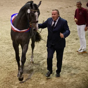 Züchter Manfred von Allwörden bei der Prämierung eines seiner Pferde im Jahr 2019.