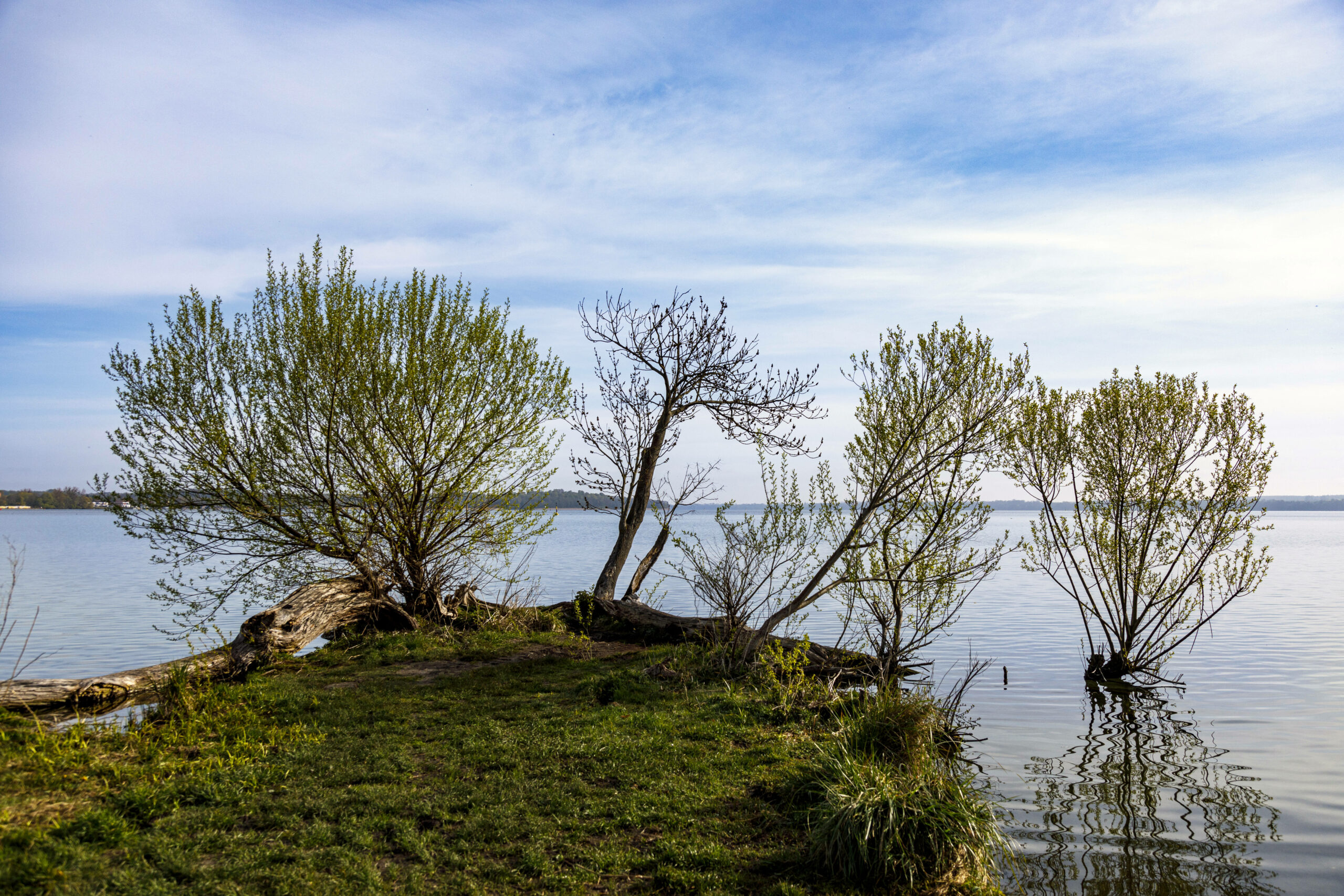 Das Ufer des Schweriner Sees (Archivbild)