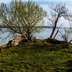 Das Ufer des Schweriner Sees (Archivbild)