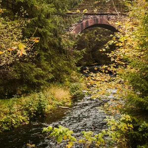 Die alte Brücke sieht aus wie einem Märchen entsprungen.