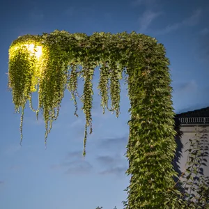Ganz so extrem stellt sich die SPD in Eimsbüttel die begrünten Straßenlaternen vermutlich nicht vor (Symbolbild).