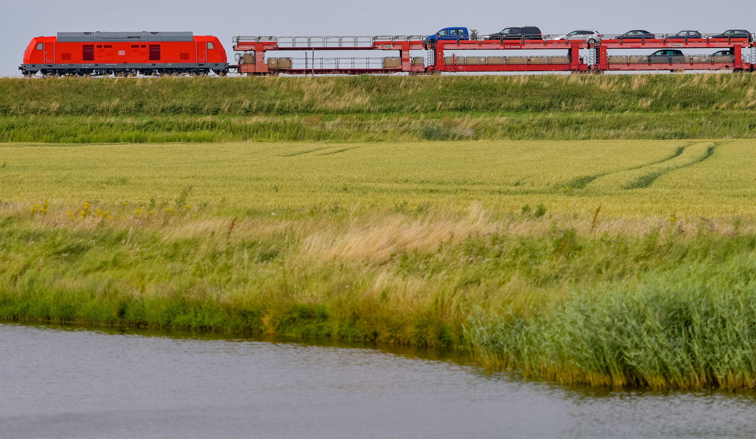 Der Sylt-Shuttle, mit dem von der Deutschen Bahn Autos vom Festland nach Westerland auf Sylt transportiert werden, fährt in der Nähe von Klanxbüll über den Bahndamm.