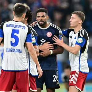 Düsseldorfs Innenverteidiger Jamil Siebert im Wortgefecht mit den HSV-Spielern Dennis Hadzikadunic und Ignace van der Brempt