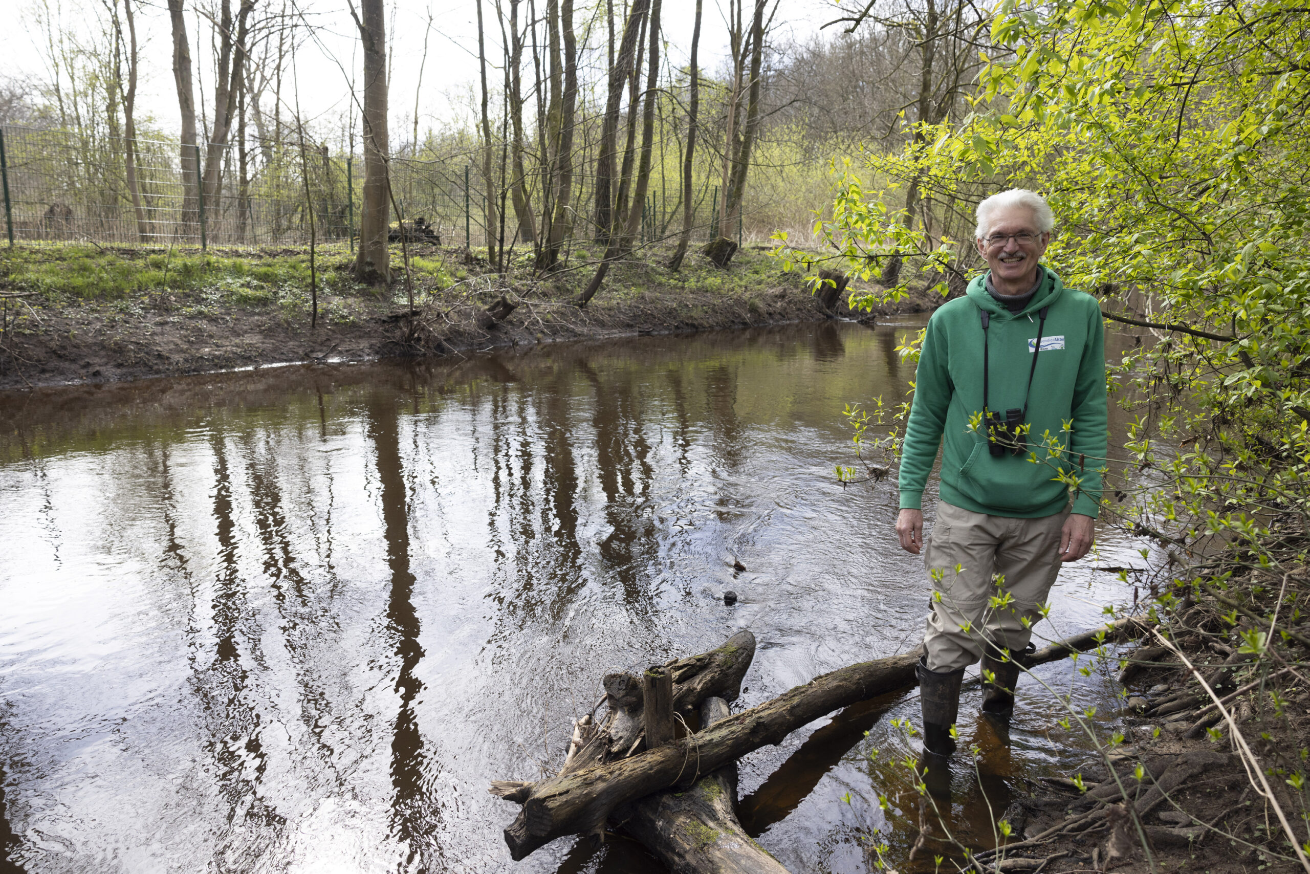 Naturschützer Wolfram Hammer (66) vom Projekt „Lebendige Alster“ steht am Ufer des Stroms an einer Totholzkonstruktionn.