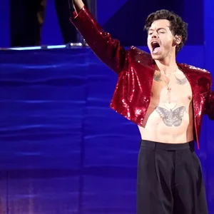 Der Sänger Harry Styles