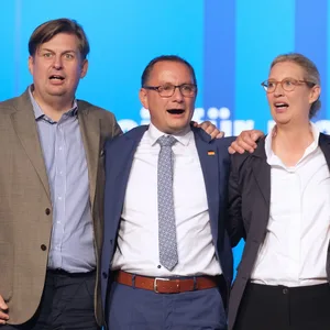 AfD Krah Chrupalla Weidel