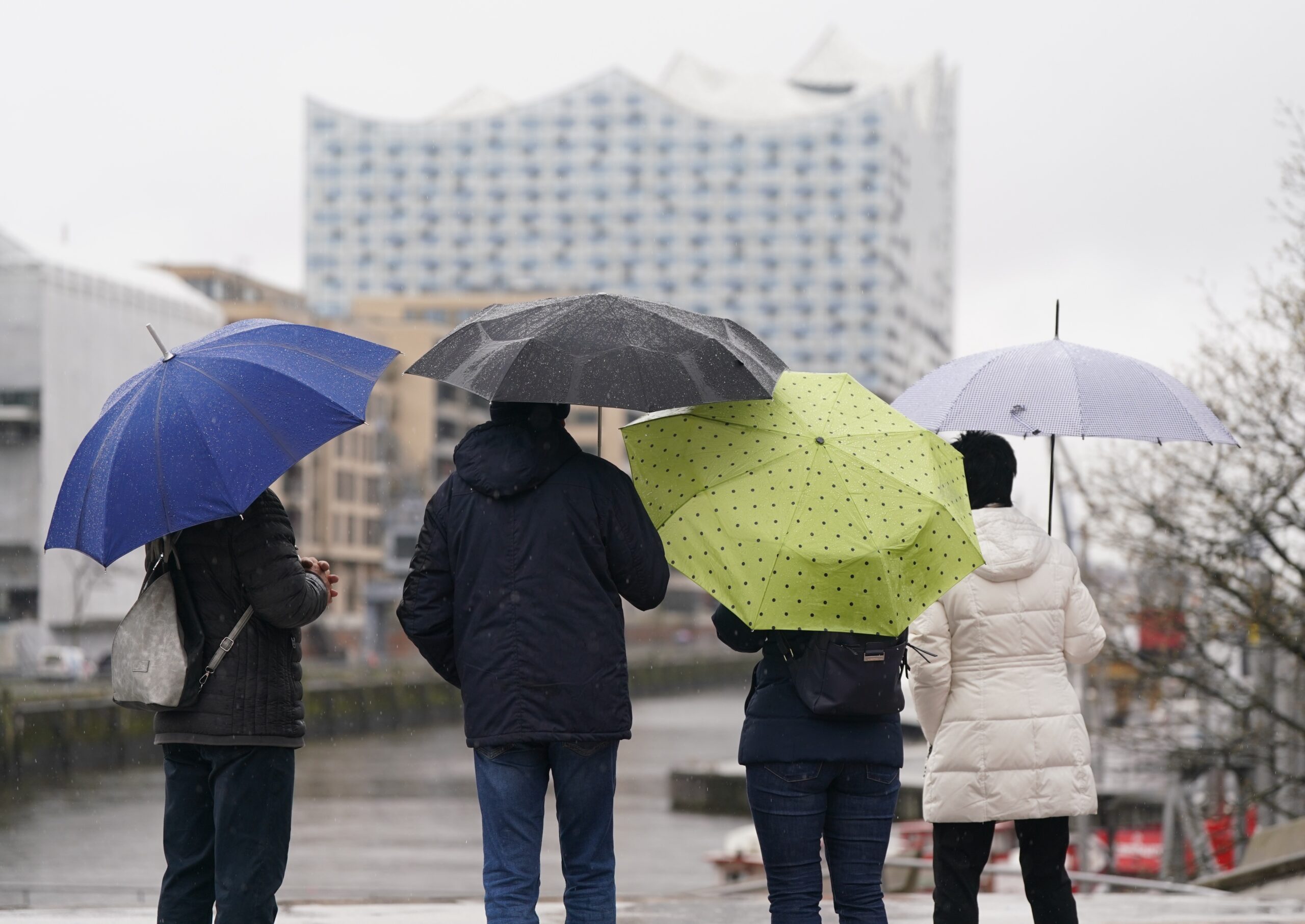 Passanten mit Regenschirmen gehen im Dauerregen durch die Hafencity spazieren. Im Hintergrund ist die Elbphilharmonie zu sehen.