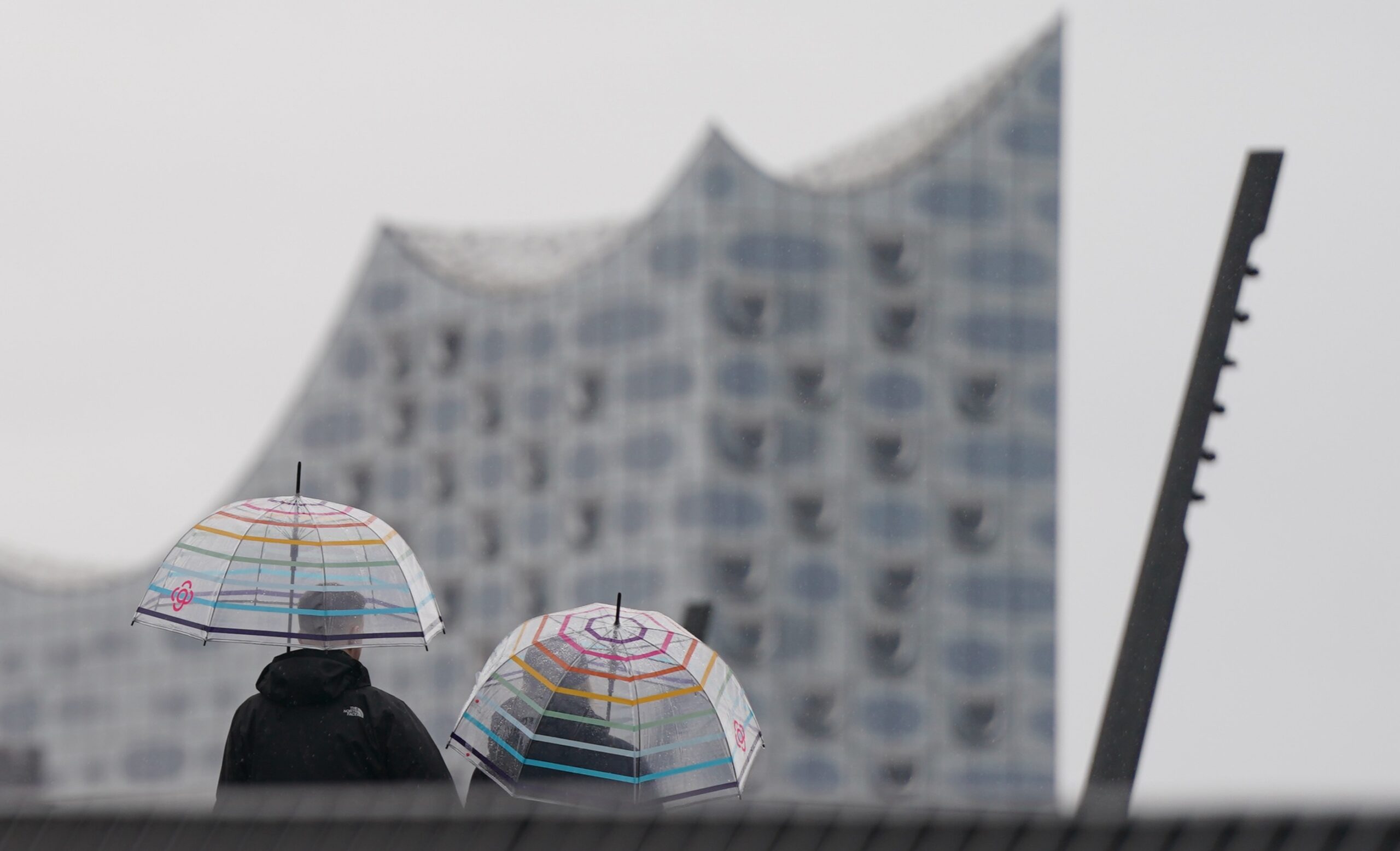 Regenschirme vor der Elbphilharmonie