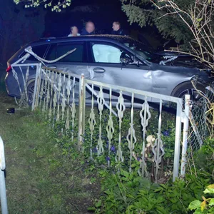 Der Autofahrer kam von der Straße ab, durchbrach einen Zaun und kam erst an einem Baum zum Stehen.