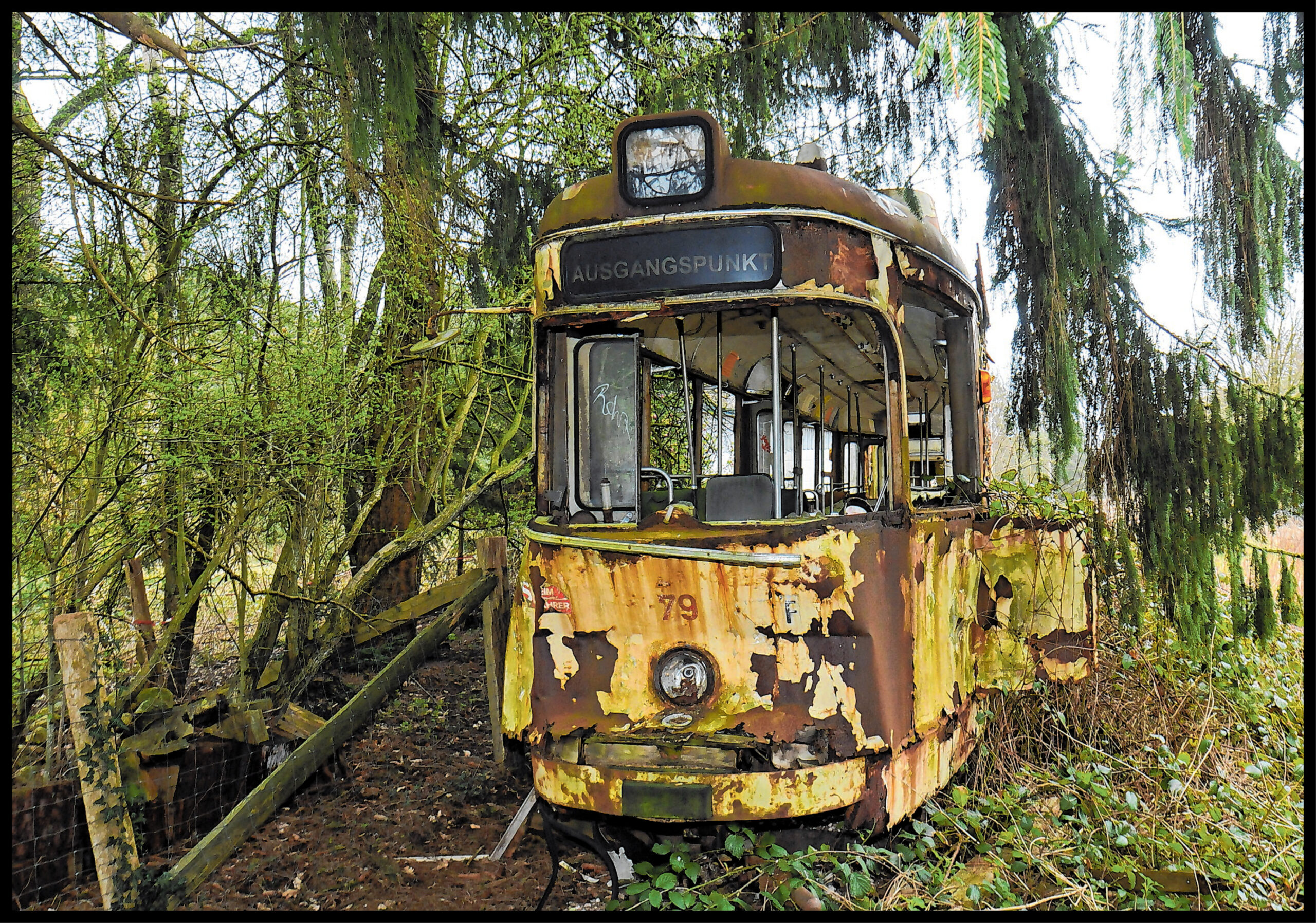Verrottete Straßenbahn im Wald