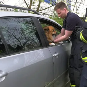 Hund in Auto zurückgelassen – feuerwehr sclägt Schebe ein und retten das Tier